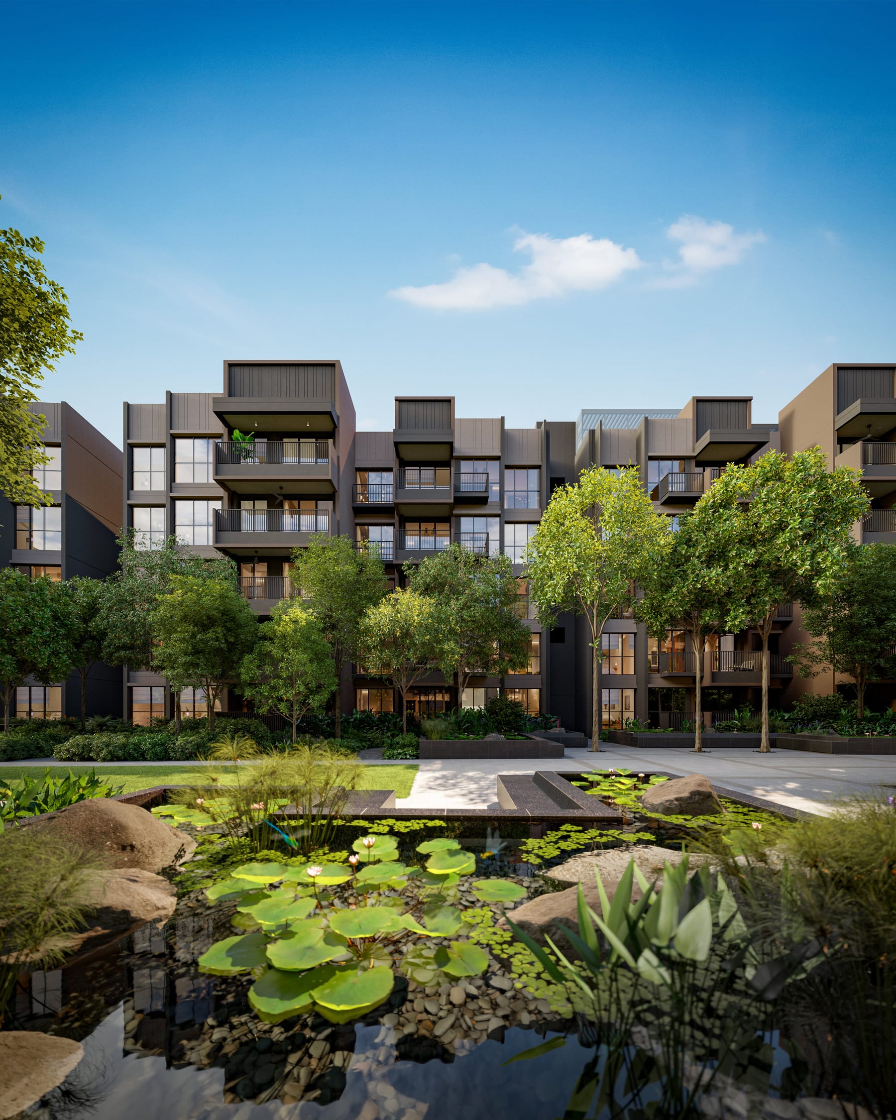 Faber Residence — lily courtyard. Artist's impression.