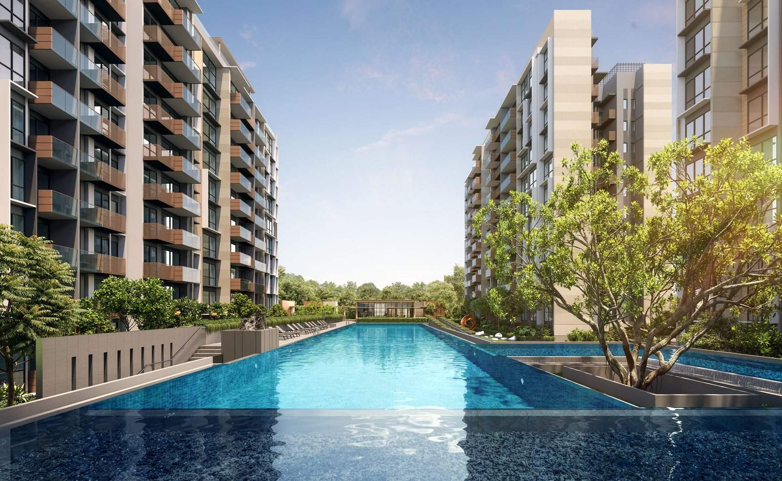 The 50m lap pool at The Sen, running between two 10-storey residential blocks on the Level 2 Sen Boutique deck with a mature tree at the far end